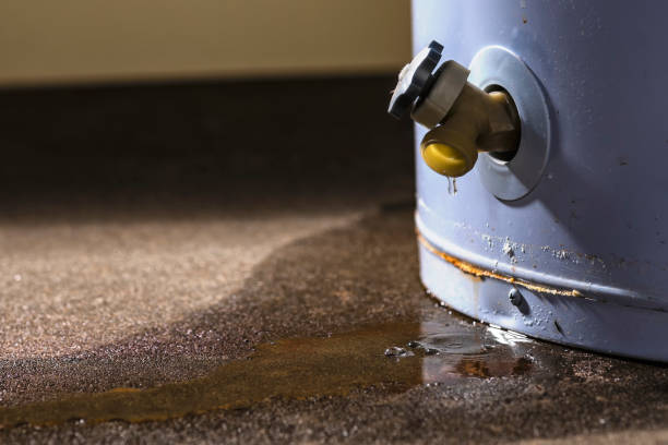 Best Water damage mitigation services  in Browns Mills, NJ