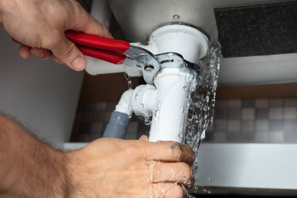 Best Fire Damage Restoration  in Browns Mills, NJ