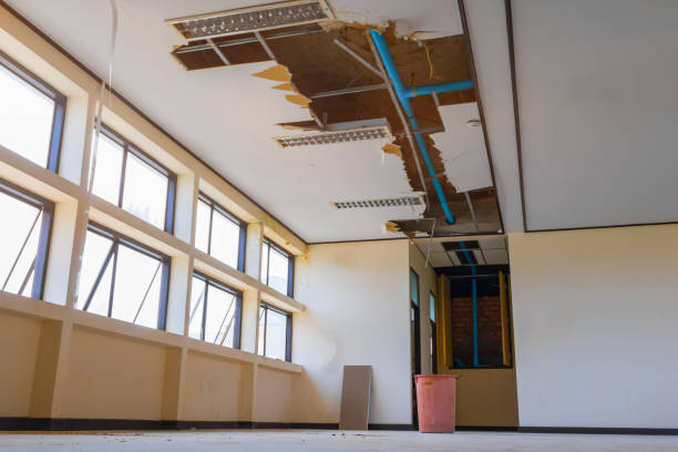 Best Water damage cleanup near me  in Browns Mills, NJ