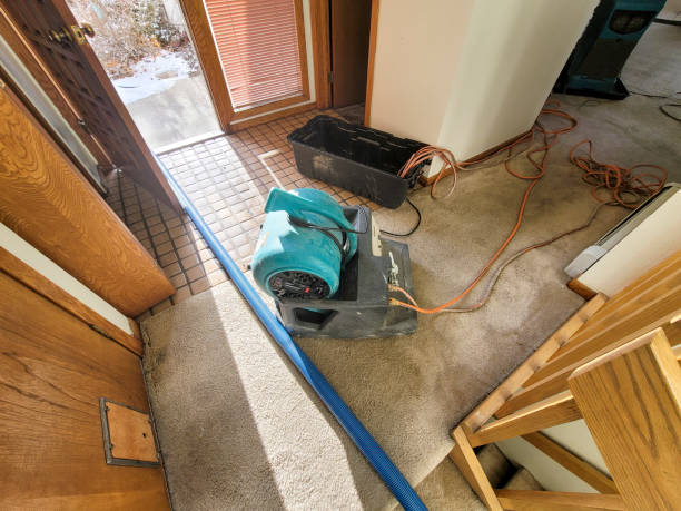 Best Professional water damage repair  in Browns Mills, NJ
