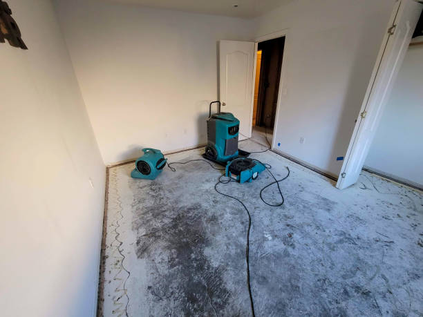 Best Ceiling water damage repair  in Browns Mills, NJ