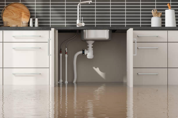 Best Carpet water damage restoration  in Browns Mills, NJ