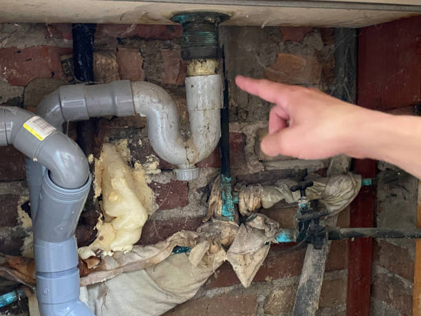 Best Water damage contractors near me  in Browns Mills, NJ