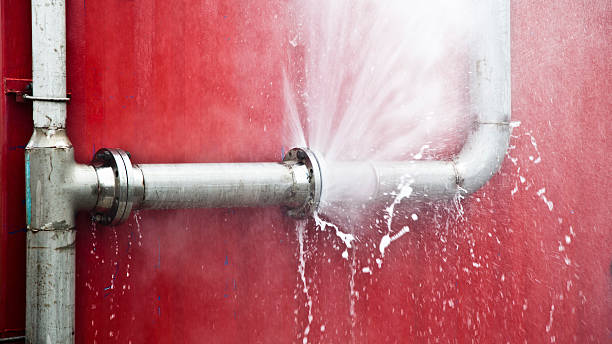 Best Water damage restoration insurance claims  in Browns Mills, NJ