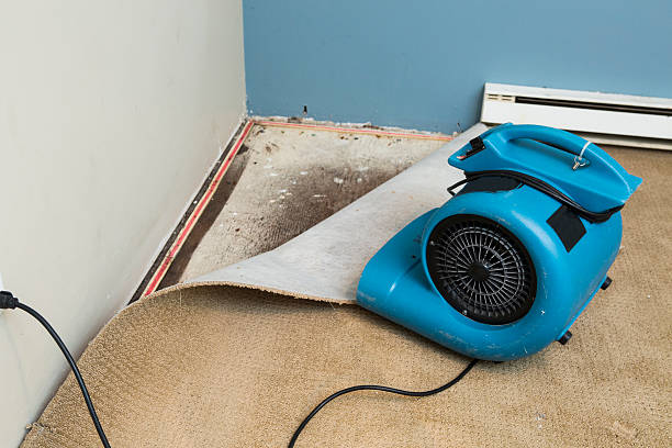 Best Residential water damage restoration  in Browns Mills, NJ